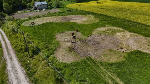 działka na sprzedaż 3259m2 działka Dalwin