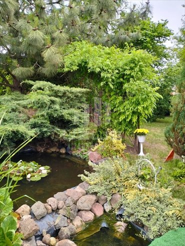 działka na sprzedaż 450m2 działka Gdańsk, al. Aleja Gen. Józefa Hallera