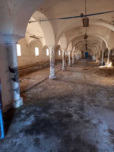 Obiekt gospodarczy 550 m² z własnym źródłem i parkiem polecam lokal użytkowy Łagiewniki, Młynica