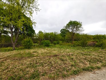 Działka 2554 m² z warunkami zabudowy, media, spokojna okolica działka Milanówek