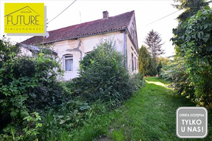 dom na sprzedaż 99m2 dom Drużno