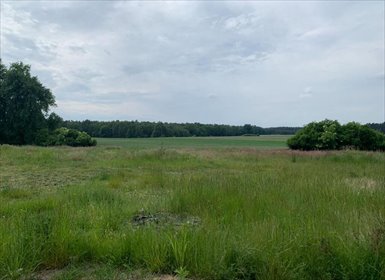 działka na sprzedaż 23654m2 działka Dobra Nadzieja