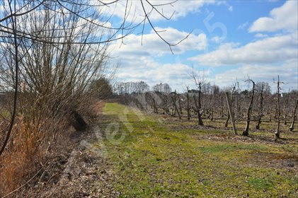 działka na sprzedaż 1183m2 działka Sierosław