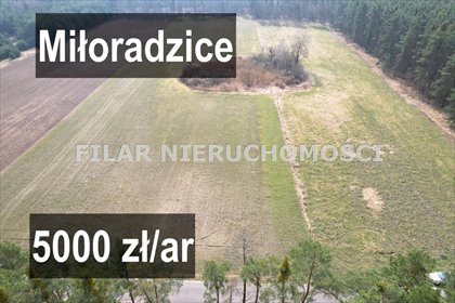 działka na sprzedaż 1100m2 działka Miłoradzice