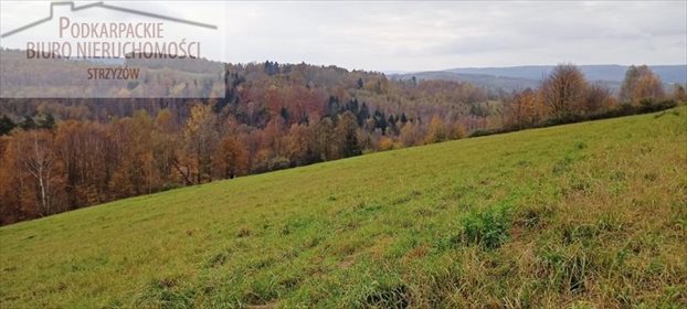 Działka budowlana na sprzedaż Żarnowa 9 900m2 Foto 3
