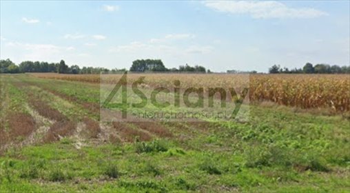 Zapraszam do zakupu działki 1000 m² w Nowych Faszczycach działka Nowe Faszczyce