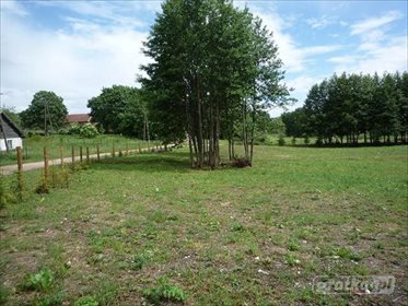 działka na sprzedaż 3700m2 działka Szarejki