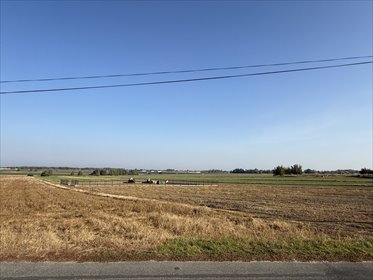 Zapraszam do zakupu działki 1501 m² w Zelgoszczy działka Zelgoszcz