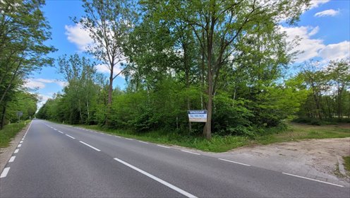 działka na sprzedaż 3002m2 działka Piotrkowice, Trzech Muszkieterów