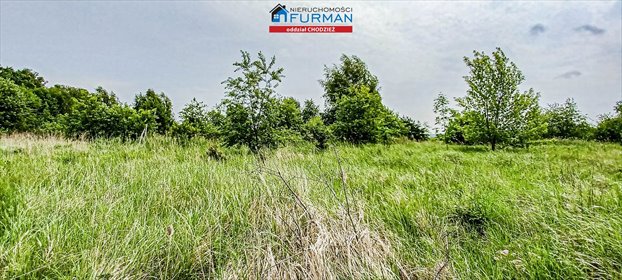 działka na sprzedaż 1236m2 działka Oleśnica