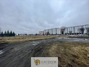 działka na wynajem 5911m2 działka Starogard Gdański, Zielona