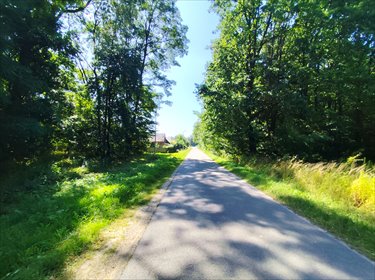 działka na sprzedaż 2670m2 działka Kazimierz Dolny