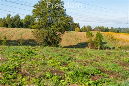 działka na sprzedaż 3501m2 działka Brzeźnica