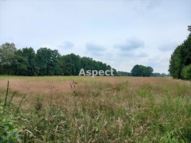 działka na sprzedaż 1064m2 działka Mnich