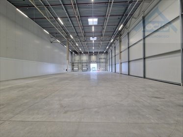 Magazyn na wynajem Warszawa, Białołęka 1 204m2 Foto 4