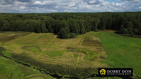Działka rolna nad rzeką Supraśl, las, 4900 m² - polecam! działka Podzałuki