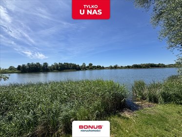 Działka z dostępem do jeziora Babin 5219 m2 – idealna pod agroturystykę działka Babin
