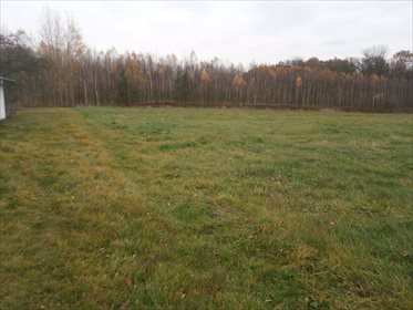 Działka budowlana na sprzedaż Piątkowiec 11 400m2 Foto 5