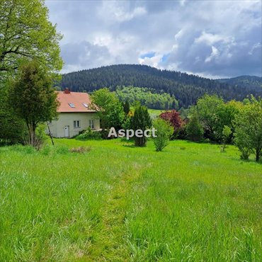 działka na sprzedaż 5759m2 działka Pewel Ślemieńska