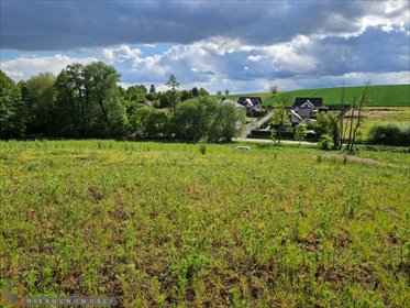 działka na sprzedaż 1200m2 działka Łuczyce