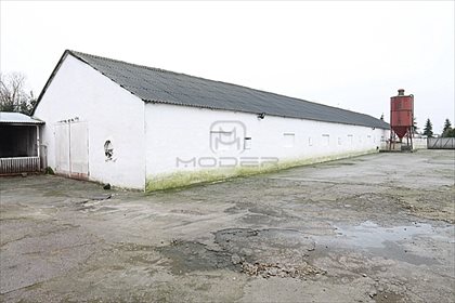 lokal użytkowy na sprzedaż 493000m2 lokal użytkowy Deszczno