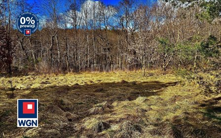 Działka budowlana nad rzeką 1450 m², warunki zabudowy działka Dębnica Kaszubska, Ks. Antoniego Kani
