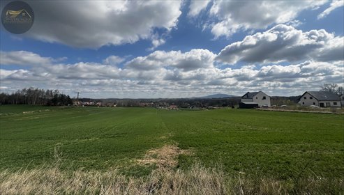 działka na sprzedaż 1100m2 działka Wierzbna