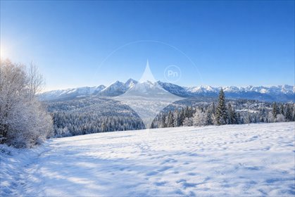 działka na sprzedaż 2445m2 działka Rzepiska