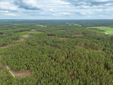 działka na sprzedaż 41900m2 działka Czarniż