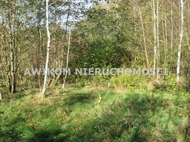 Działka budowlana 1199 m² w spokojnej okolicy (blisko lasu) działka Budy Mszczonowskie