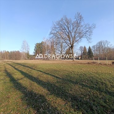 działka na sprzedaż 3000m2 działka Zalesie
