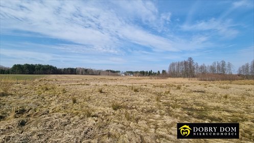 działka na sprzedaż 1000m2 działka Skrybicze