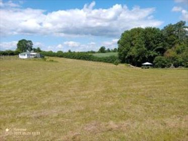 działka na sprzedaż 12500m2 działka Tchórzno