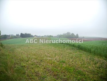 Działka 6200 m² z MPZP pod zabudowę jednorodzinną działka Zawada