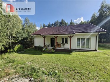 Urokliwy dom w lesie, 100 m², gotowy do zamieszkania. dom Szczodrochowo