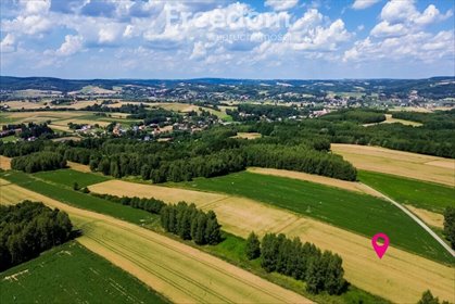 działka na sprzedaż 4600m2 działka Wysoka Strzyżowska