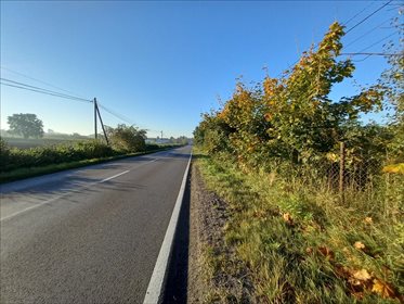 działka na sprzedaż 2095m2 działka Ruda-Bugaj, Aleksandrów Łódzki