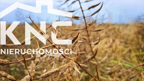 działka na sprzedaż 6700m2 działka Nałęczów