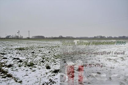 działka na sprzedaż 7500m2 działka Ludwin