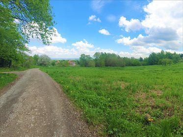 działka na sprzedaż 3400m2 działka Lednica Górna, Wieliczka