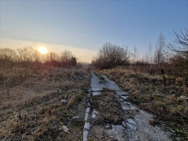 działka na sprzedaż 23417m2 działka Kamiennik