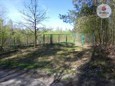 Działka rolna na sprzedaż Olsztyn, Gutkowo, Gutkowo 3 673m2 Foto 6