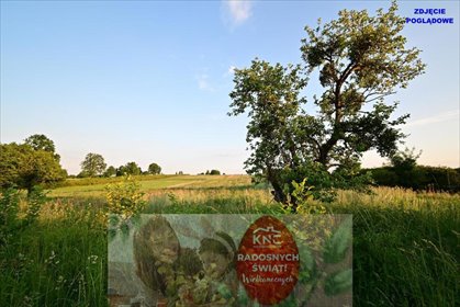 działka na sprzedaż 1400m2 działka Nałęczów