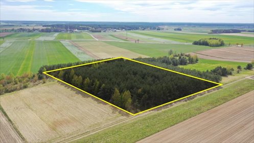 Działka leśna 2,2 ha z sosną, inwestycja lub gospodarstwo działka Pniewo