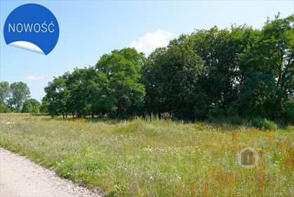 działka na sprzedaż 900m2 działka Deszczno