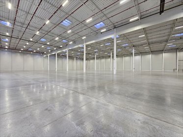 magazyn na wynajem 15000m2 magazyn Chorzów