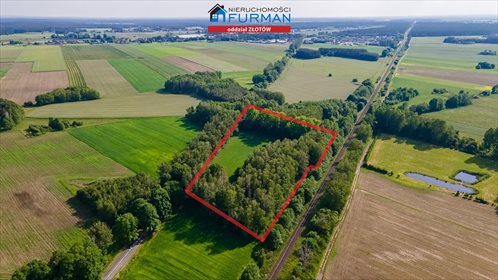 Działka leśna na sprzedaż Głomsk 18 000m2 Foto 4