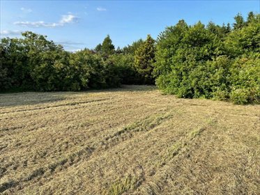 działka na sprzedaż 2476m2 działka Turza Śląska