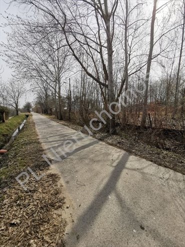 Działka 673 m² z domem, media, inwestycja lub dom działka Opacz-Kolonia