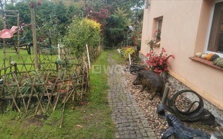 Dom na sprzedaż Dzietrzychowice, Dzietrzychowice 120m2 Foto 3